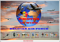 BELGIAN AIR FORCE 15° WING